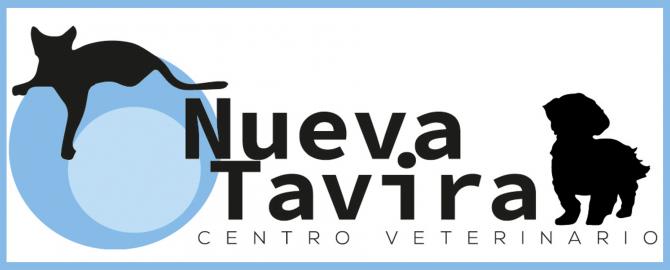 CENTRO VETERINARIO