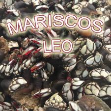 MARISCOS LEO